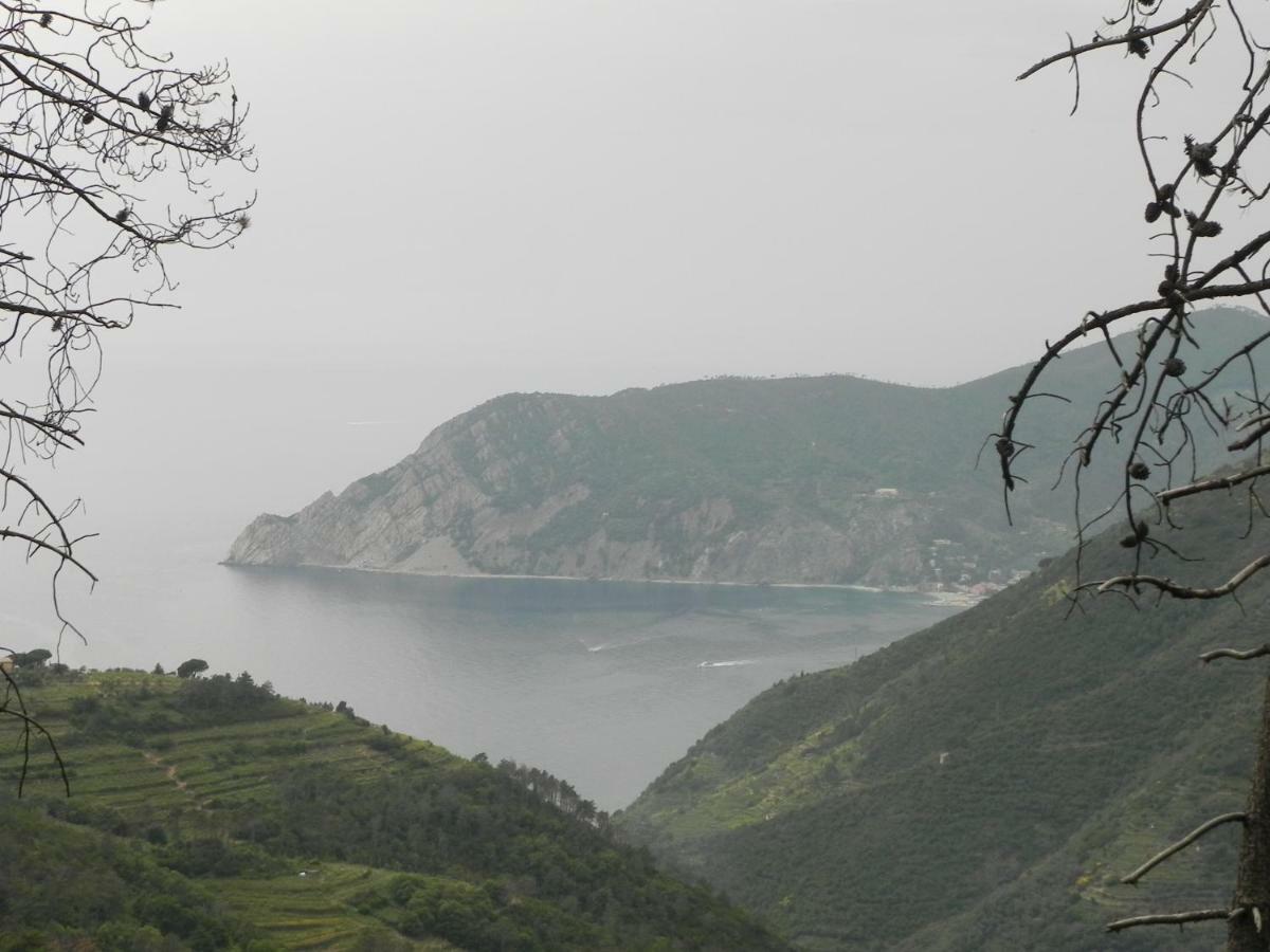 Ca Gialla De Drignana Vernazza Exterior foto